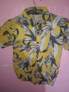 Combo Of Printed Shirt