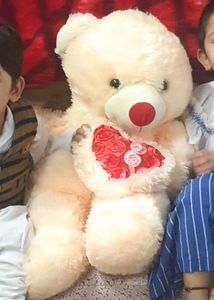 Teddy Bear