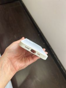 iPhone 12 Back Cover