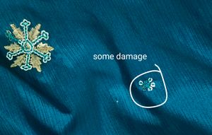 Elegant Embellished Ethnic Skirt