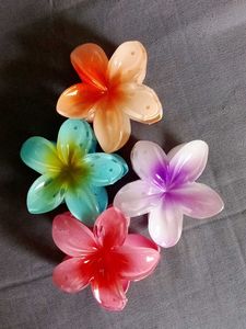 Colorful Plumeria Hair Clips Per Pc Price