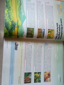 Future Kids General Knowledge Book 7