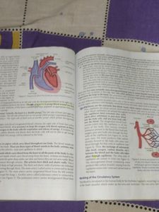 Class 7 Science Book 📚📖📖