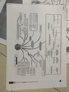 OSWAAL CBSE MIND MAPS