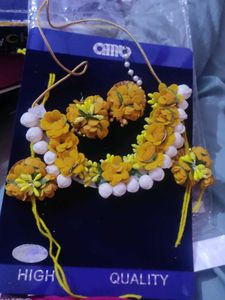 Haldi Srt For Bridle