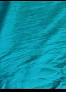 Sea Green Shiney Saree