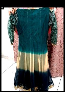 Elegant Ethnic Gown