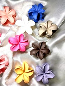 PACK OF 12 SMALL CLIPS
