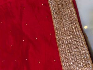 Organza  Saree With Blouse