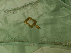 Mint Green Embellished Saree