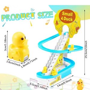 Duck Race Track Toy