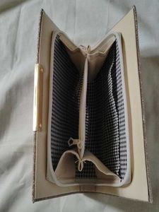 Shiny Clutch