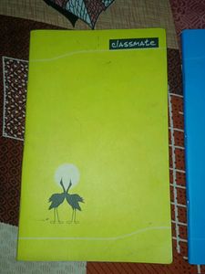 Classmate Notebooks (Set of 2)