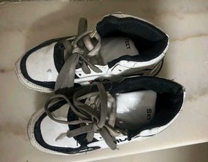 Cool Sneakers