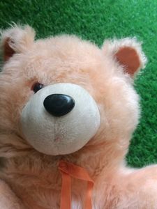 Kids Teddy Bear Soft Toys