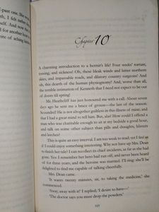 Gothic Novel Wuthering Heights