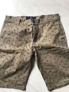 Shorts For Men