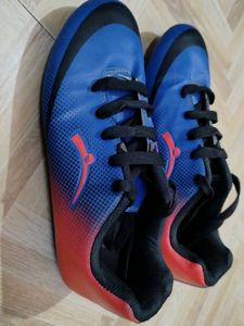 Sports Shoes