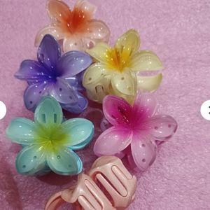 Pinteresty Hair Clips