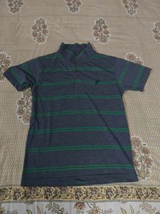 Striped Polo T-Shirt