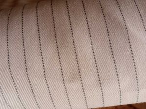 Striped Button-Down Shirt