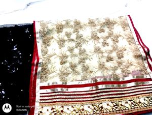 Shimmer Leggings & Party Wear Shaal