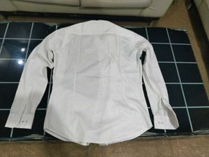 Men Designer Shirt