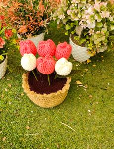 6 Tulip With Pot And Leafs