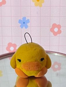 2 Cute Couple Ducks