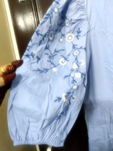 Blue Embroidered Sleeve Dress