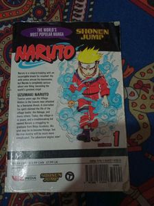 Naruto Manga Volume 1