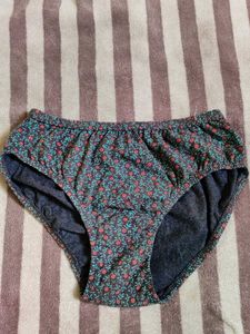 undergarments only 100