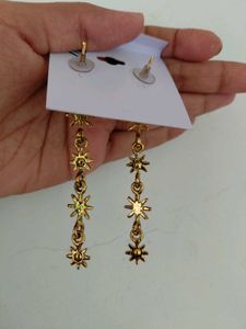 Pretty pair of Golden Earrings