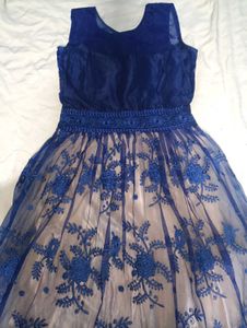 Elegant Blue Ethnic Gown