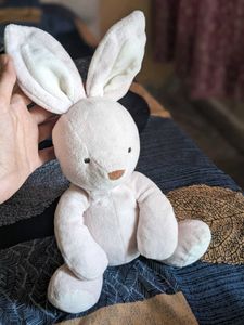 soft plushie teddy