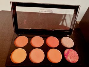 Revolution Blush Palette