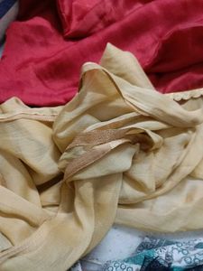 Set Of 2 Designer Dupattas