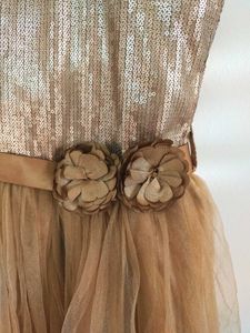Gold Sequin &amp; Tulle Party Dress