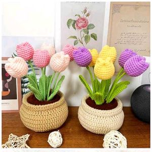 Crochet 6 Tulip Flower Pot
