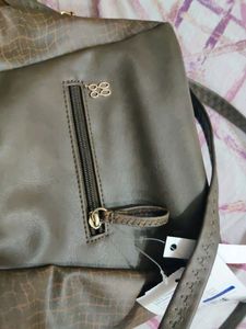 Baggit Brown Bag