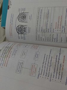 Original Marrow Notes Ed 6.5 Microbiology