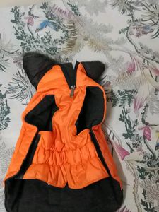 dog&#39;s Jacket