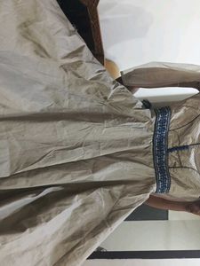 Elegant Ethnic Dress