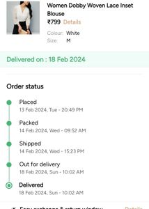 Elegant White Sheer Blouse