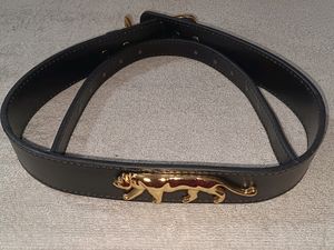 Sabyasachi Inspired Belt