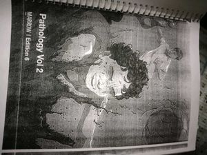 Pathology Vol 1 And 2  MARROW Edition 6