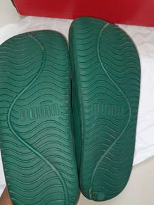 Puma Green Flip Flops Slippers