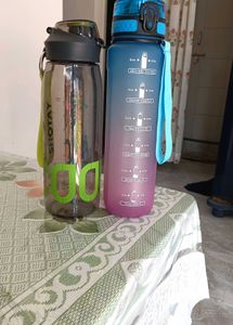 Water Bottles (Set of 2)