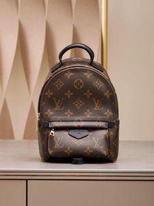 ask before- Louis Vuitton Mini Backpack