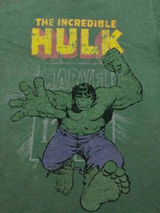 Hulk Graphic Tee (Men/Women)